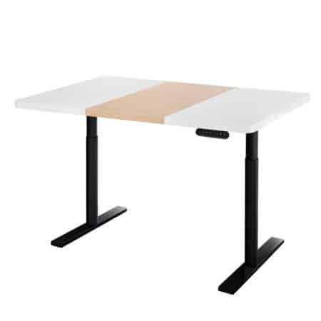 Artiss Standing Desk Motorised Electric Dual Motor 120CM