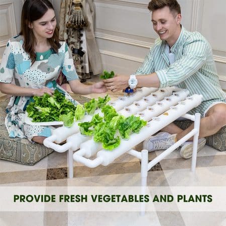 36 Sites Hydroponic Grow Tool Kits Vegetable Garden System 220V Water Pump - Image 2