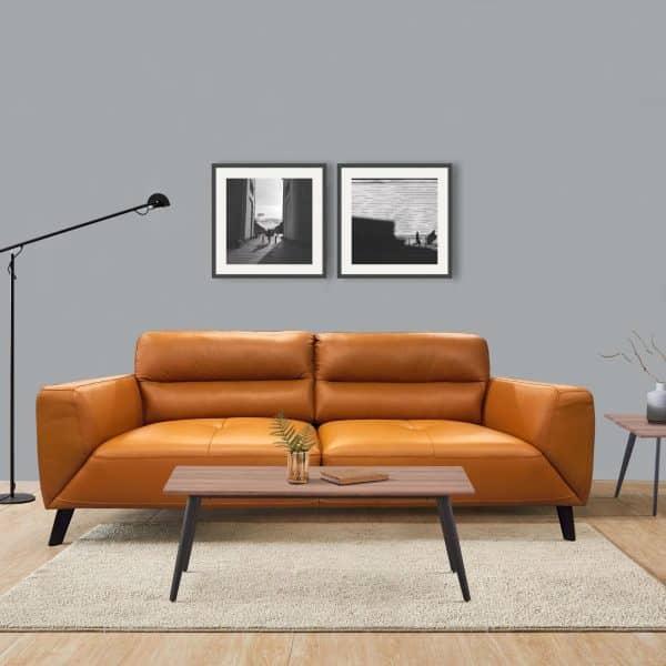 Downy  Genuine Leather Sofa 2 Seater Upholstered Lounge Couch - Tangerine - Image 2