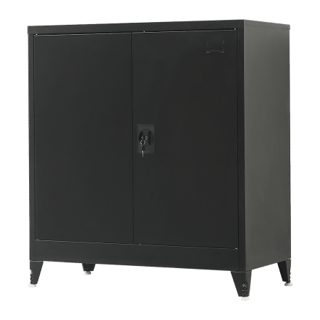 Two-Door Metal Short Cabinet Shelf Storage for Home Office Gym